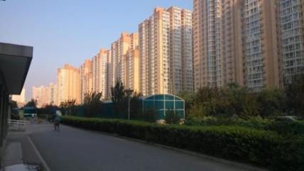 盛世聯(lián)行 全方位房地產(chǎn)專業(yè)咨詢服務(wù)，賦能資產(chǎn)價值與市場流通