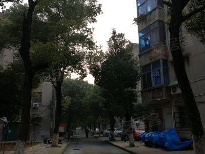 戚廠工房北區深度解析 居住優勢與不足，以及周邊經紀人專業評價